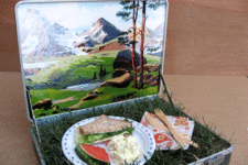 DIY picnic-inspired lunch box with grass inside