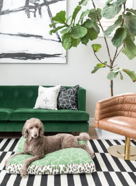 an emerald mid-century modern sofa will be a bold statement in your living room