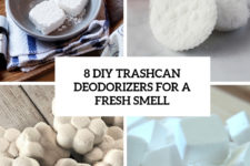 8 diy trashcan deodorizers for a fresh smell cover