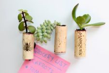 DIY wine cork succulent planters with magnets