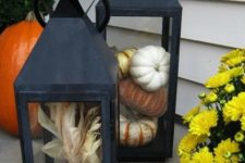 blakc metal lanterns with corn and real pumpkins are harvest-like and cool for Thanksgiving decor