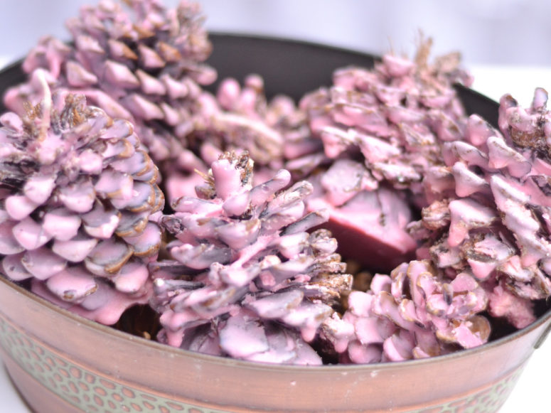 DIY pink pinecone firestarters (via www.southernliving.com)