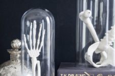 DIY skeleton parts in cloches display