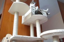 DIY tall cat tree with a cat house included