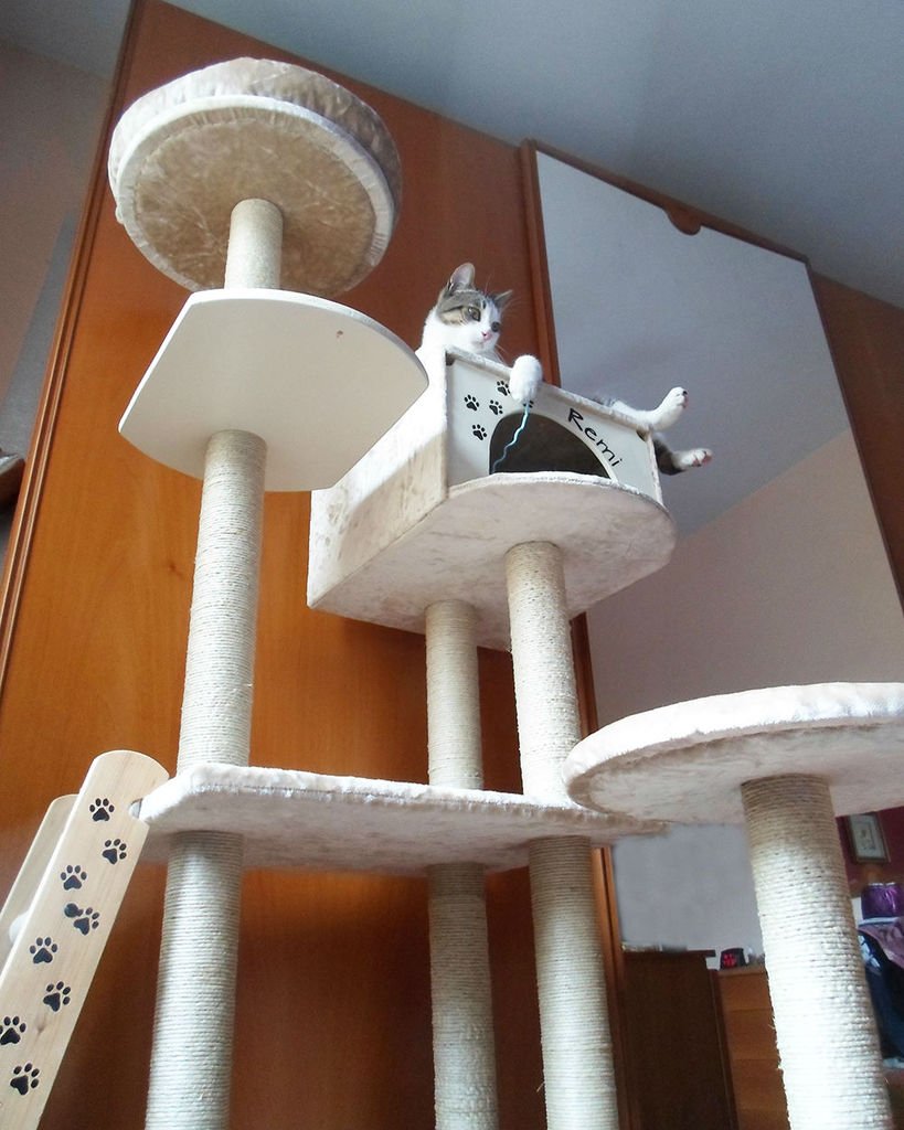 DIY tall cat tree with a cat house included (via www.instructables.com)