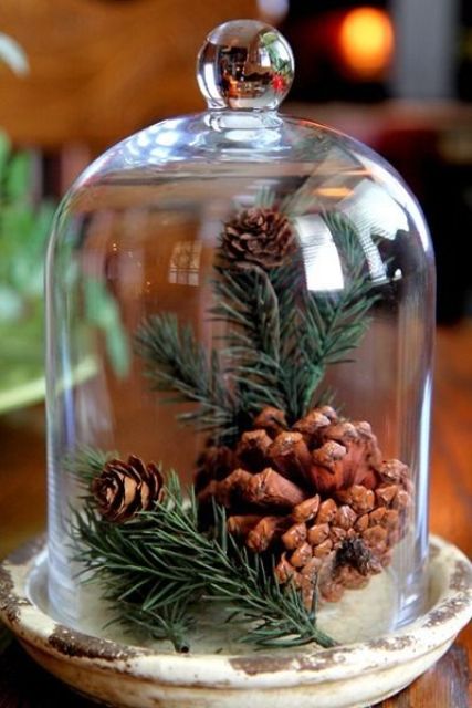 a vintage cloche with pinecones and evergreens will bring a cute rustic touch to your space