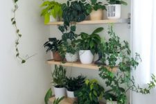 14 some floating shelves and potted greenery on them is a cool idea for any space