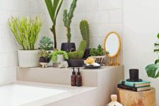 15 a bathtub shelf is sued to store some potted cacti and succulents on it to refresh the space