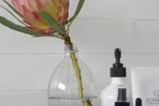 26 a single king protea in a clear vase is a bold and stylish statement for a contemporary space