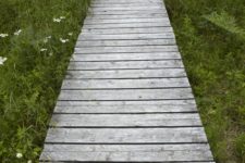 13 a rustic wooden pathway with greenery and wildflowers around is just amazing and inviting