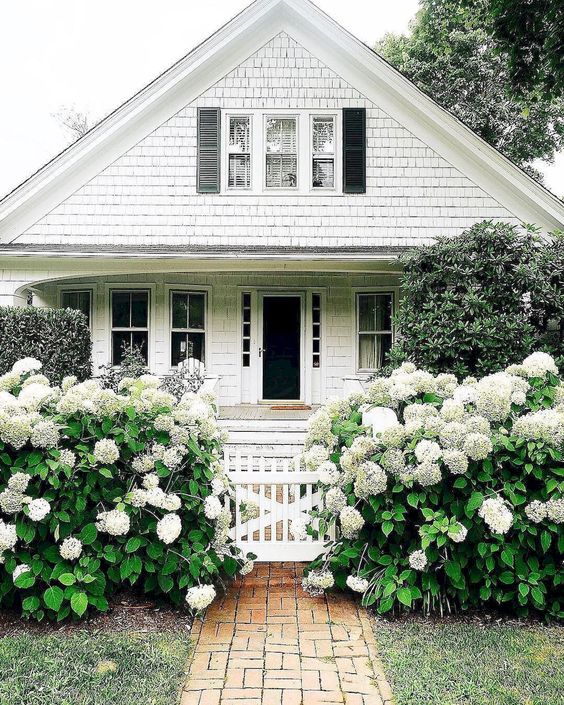 a white picket fence with lush white blooms and greenery all around make the front yard dreamy
