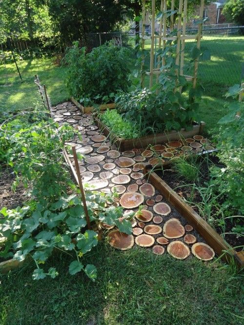 a small wood slice garden path plus a lawn looks very natural and eco-friendly