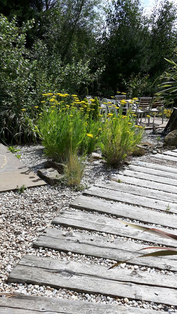 a neutral wooden garden path with matching gravel looks relaxed, casual and very cool