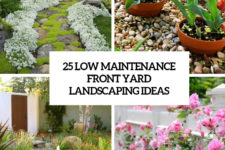 25 low maintenance front yard lndscaping ideas cover
