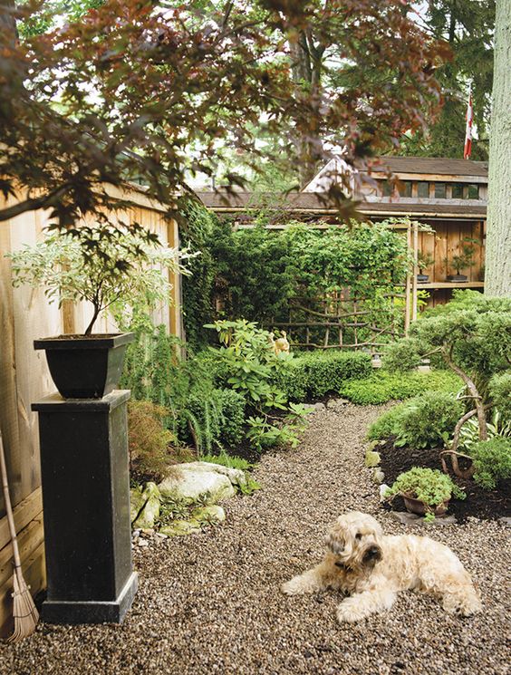 a cozy and cool garden with a gravel pathway, greenery and shrubs, a pedestal with a potted plant and some stones and rocks