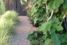 a green garden with trees and grasses and a gravel pathway looks very modern, stylish and eye-catchy