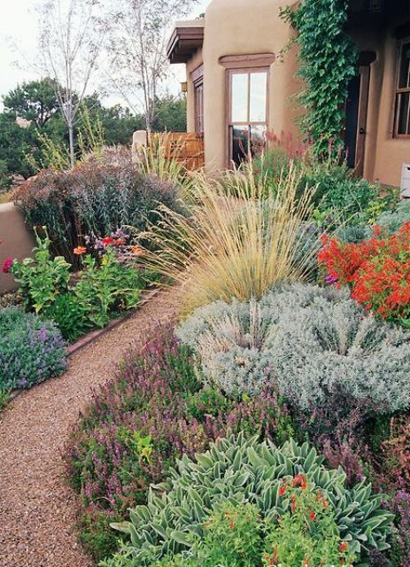 a modern and colorful backyard with bright blooms and shrubs and a gravel pathway is a cool solution for a modern space