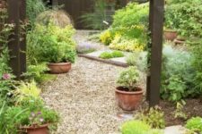 a pretty relaxed garden with greenery, blooms in pots and not only, with a gravel path and some dark wood