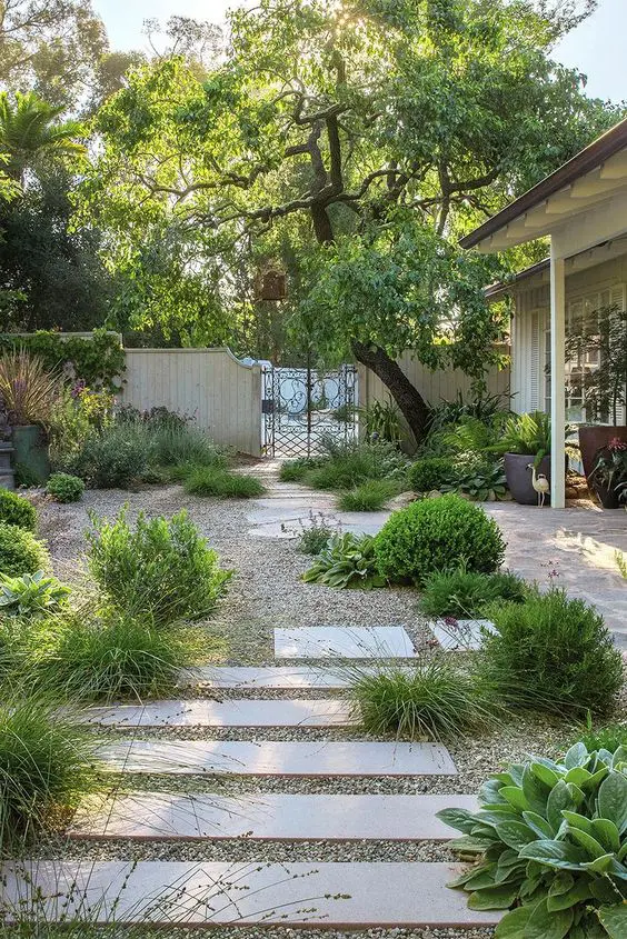 a relaxed modern garden with a gravel space, stepping stones, greenery, blooms and shrubs and a large tree