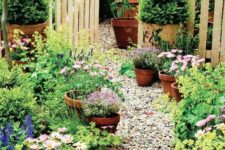 a small cottage garden with a gravel path, terra cotta pots and a basic picket fence painted yellow