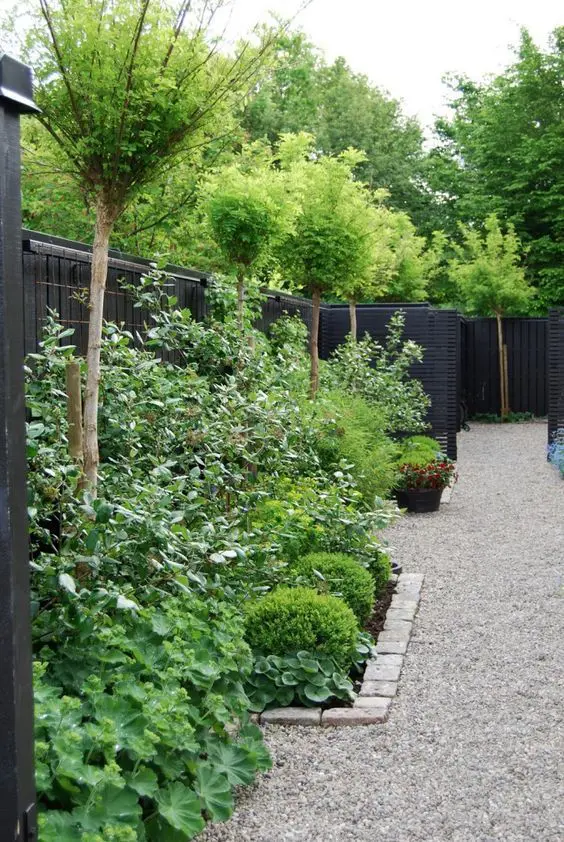 a stylish modern garden with a gravel pathway, garden beds with greenery, shrubs and trees is a chic and edgy idea