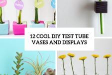 12 cool diy test tube vases and displays cover