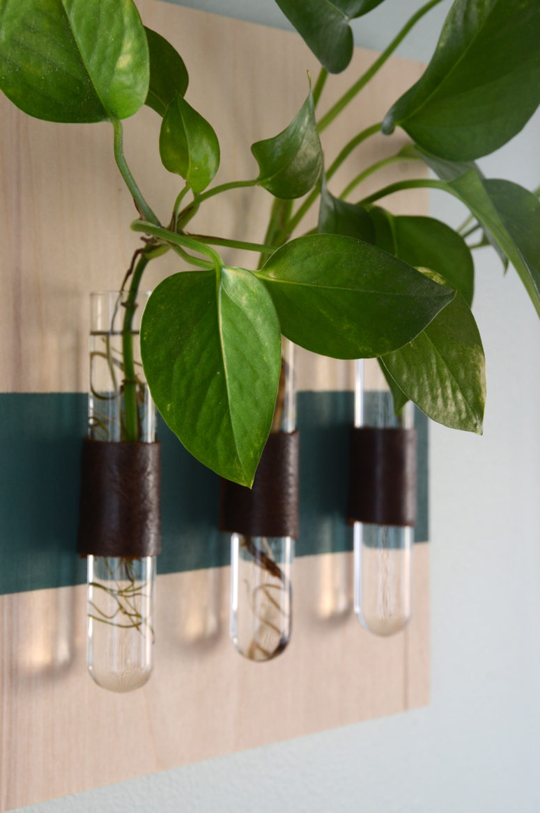 DIY wall-mounted test tube vases using leather (via www.diys.com)