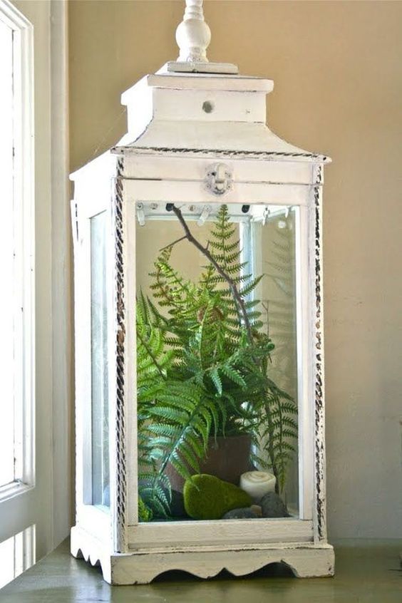 a vintage white lantern with moss balls, a candle and a potted fern is a cool idea for a refined touch