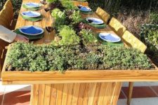10 a light stained dining table with a large planter and fresh herbs you can pick and instantly eat