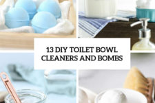 13 diy toilet bowl cleaners and bombs cover