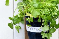 DIY upcycled denim herb planters