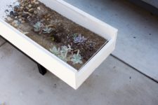 DIY modern coffee table with succulents