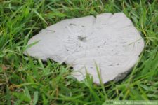 DIY leaf shaped concrete stepping stones