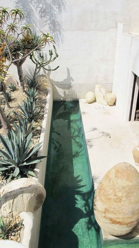 a desert-style patio with a long and very narrow pool, planted succulents and trees for a desert feel