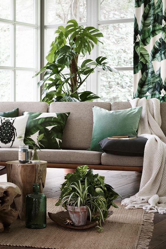 banana leaf print curtains and matching pillows plus potted plants for refreshing the space