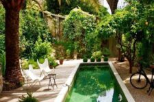 a lovely tropical garden with a narrow pool