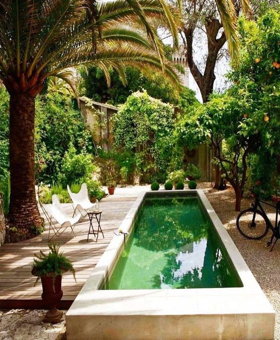 a beautiful tropical garden with trees and lots of greenery, butterfly chairs on the deck, a long and narrow pool is amazing