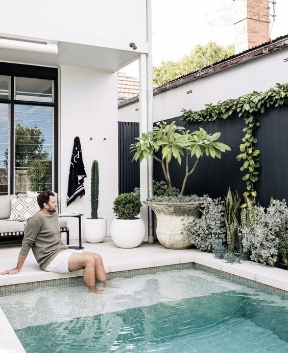 a chic black and white outdoor space with a white stone deck and a pool, potted plants and cacti, a bench with pillows