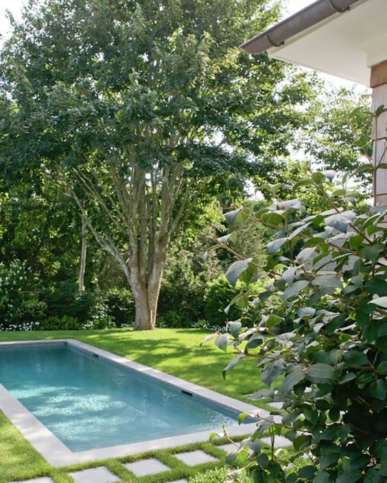 a gorgeous backyard pool with a green lawn, a pool, some greenery and trees is a welcoming space to refresh yourself