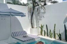 a little minimalist backyard done in white, with a plunge pool, some growing cacti, a tree, a daybed and a pool float