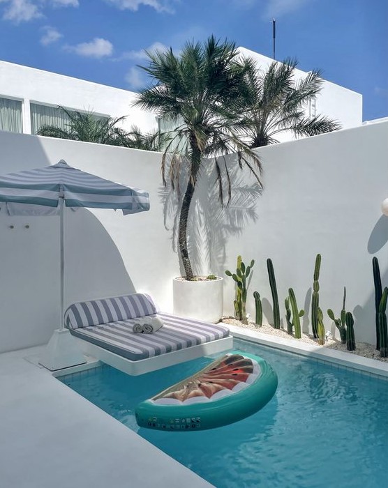 a little minimalist backyard done in white, with a plunge pool, some growing cacti, a tree, a daybed and a pool float