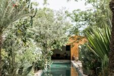 a long and narrow pool with stone decks, lots of greenery, bushes, trees, agaves and cacti is a fantastic idea for a backyard