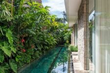 a lush tropical space with a greenery wall and trees growing up, with a long and narrow pool to refresh yourself