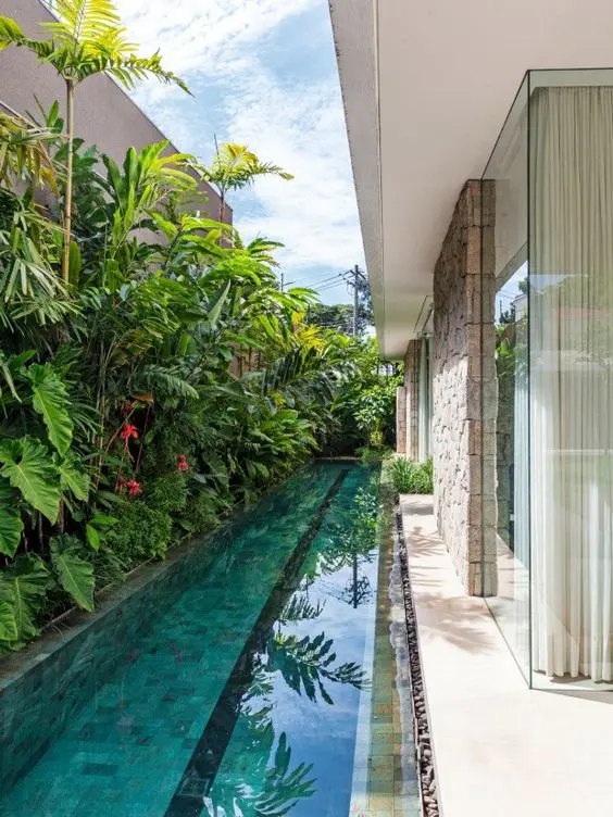 a lush tropical space with a greenery wall and trees growing up, with a long and narrow pool to refresh yourself