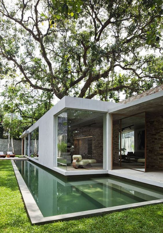 a minimalist outdoor space with a green lawn, a long and narrow pool and some trees over the space