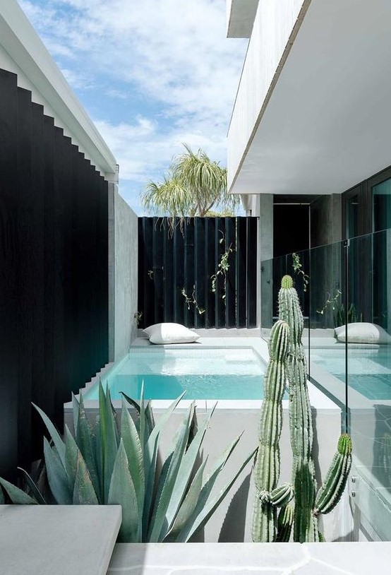 a minimalist outdoor space with a plunge pool in stone, a pillow, some agaves and cacti is an amazing nook
