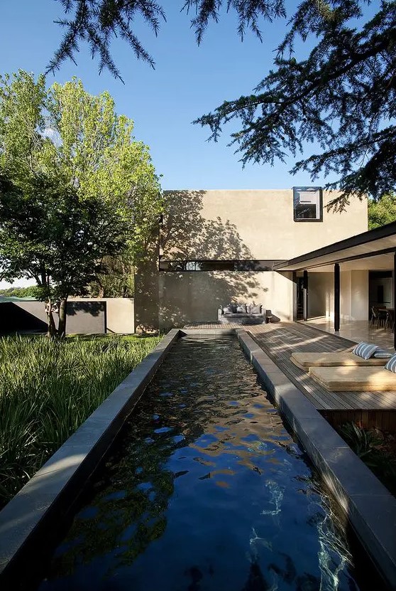 a narrow pool and greenery next to it, a comfy deck for sunbathing with a minimalist design