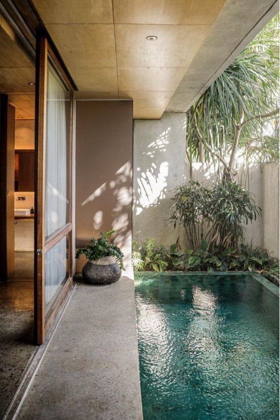 a peaceful outdoor space with a concrete deck, a plunge pool and some greenery and trees around is welcoming