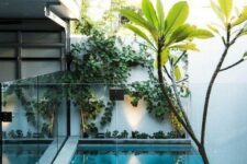 a small and minimalist outdoor space with a deck, a plunge pool with a glass fence around, some greenery and lights and a tree
