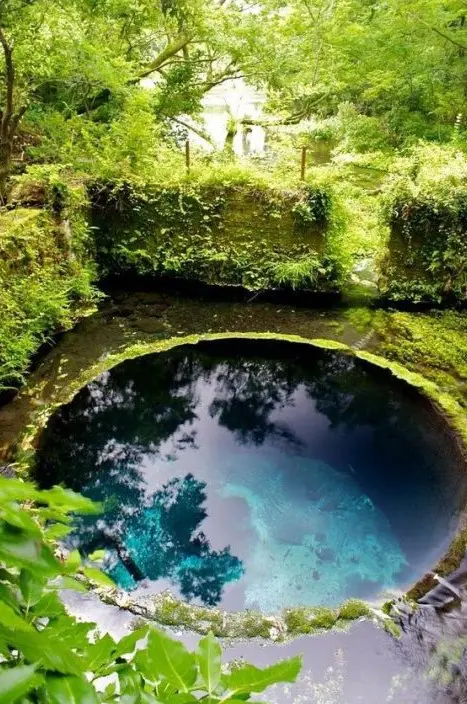 a small round pool made look all-natural, with rocks and moss and greenery around will make you feel like in wild nature